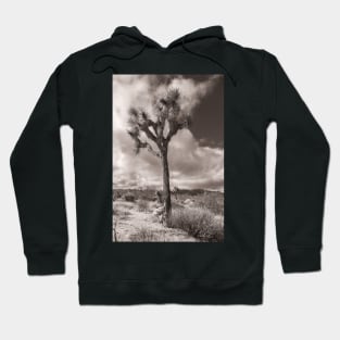 Joshua Tree monochrome Hoodie